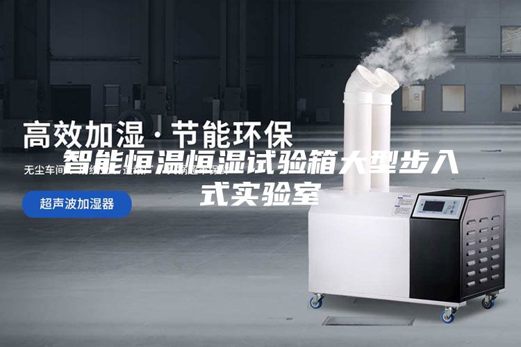 智能恒溫恒濕試驗箱大型步入式實驗室