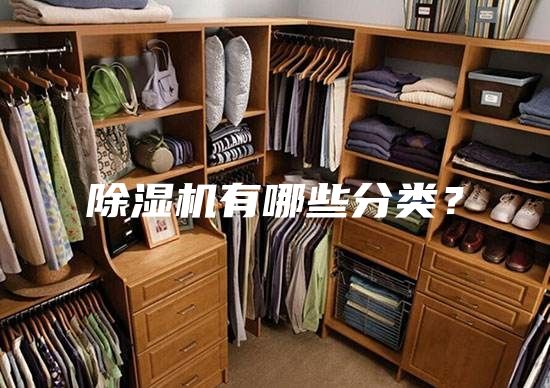 除濕機有哪些分類？