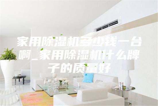 家用除濕機多少錢一臺啊_家用除濕機什么牌子的質量好