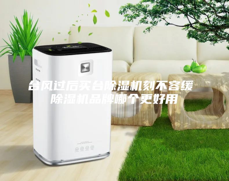 臺風(fēng)過后買臺除濕機(jī)刻不容緩 除濕機(jī)品牌哪個更好用