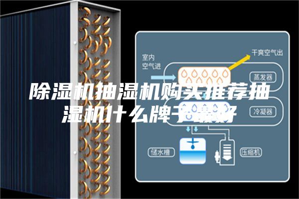 除濕機(jī)抽濕機(jī)購買推薦抽濕機(jī)什么牌子最好
