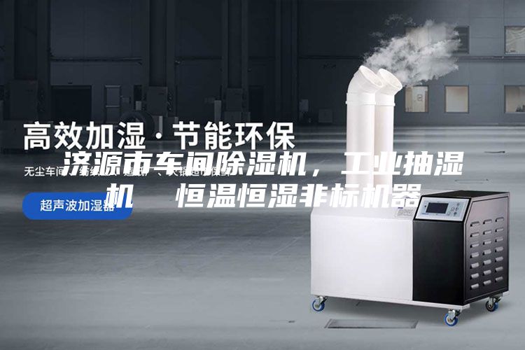 濟(jì)源市車(chē)間除濕機(jī)，工業(yè)抽濕機(jī)  恒溫恒濕非標(biāo)機(jī)器
