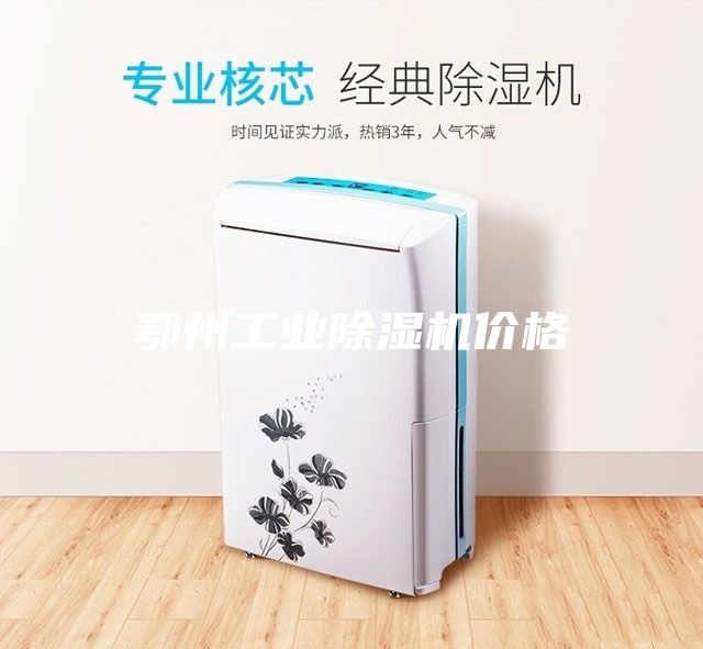 鄂州工業除濕機價格