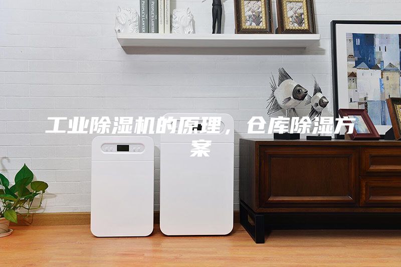 工業除濕機的原理，倉庫除濕方案