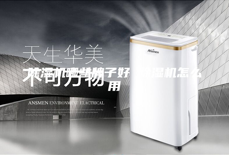 除濕機哪些牌子好 除濕機怎么用