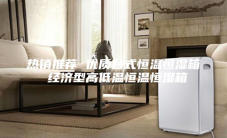 熱銷推薦 優(yōu)質(zhì)臺式恒溫恒濕箱 經(jīng)濟(jì)型高低溫恒溫恒濕箱