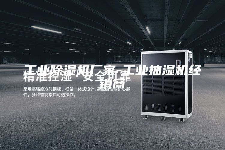 工業(yè)除濕機(jī)廠家-工業(yè)抽濕機(jī)經(jīng)銷商