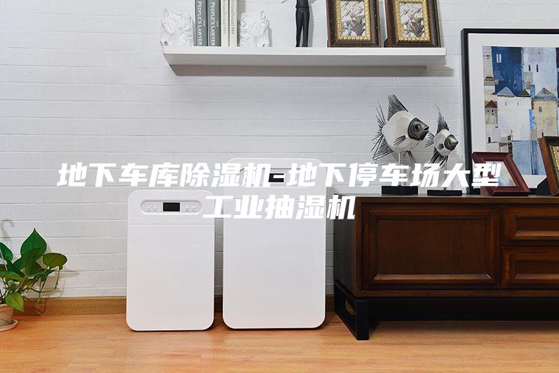 地下車庫除濕機(jī)-地下停車場(chǎng)大型工業(yè)抽濕機(jī)