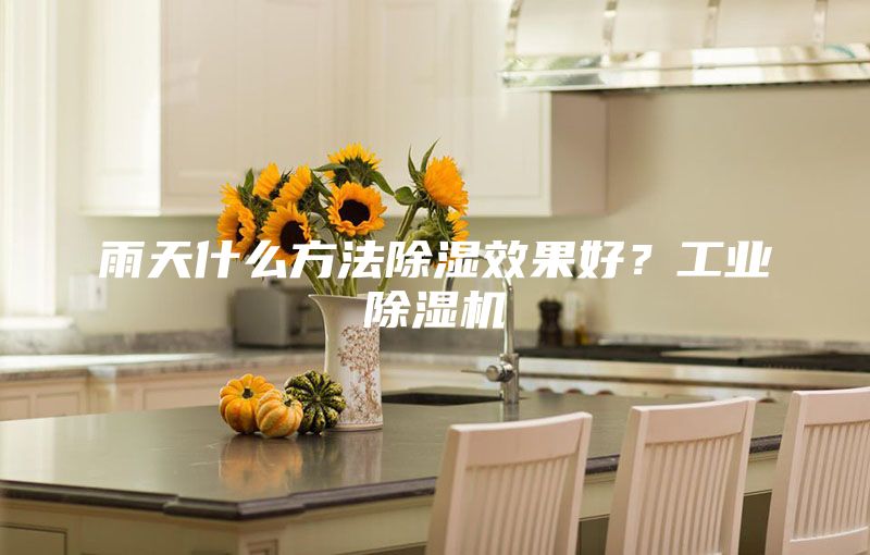 雨天什么方法除濕效果好？工業(yè)除濕機(jī)