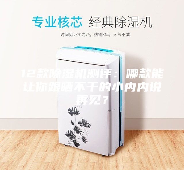 12款除濕機測評：哪款能讓你跟曬不干的小內(nèi)內(nèi)說再見？