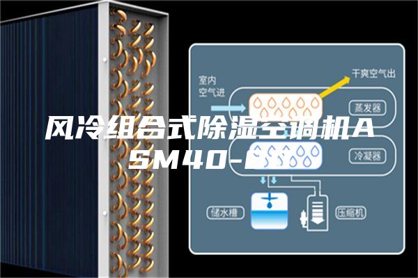 風冷組合式除濕空調(diào)機ASM40-80