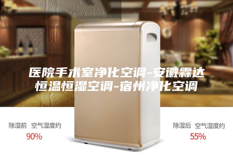 醫(yī)院手術(shù)室凈化空調(diào)-安徽霖達恒溫恒濕空調(diào)-宿州凈化空調(diào)