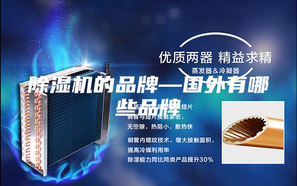 除濕機(jī)的品牌—國(guó)外有哪些品牌