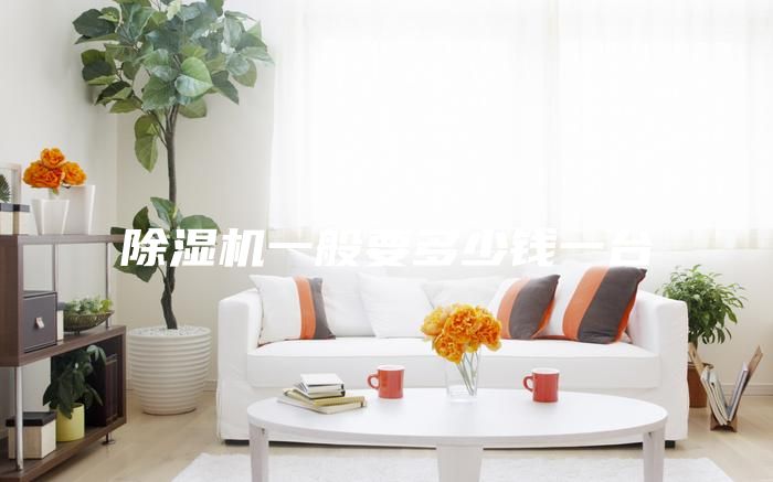 除濕機一般要多少錢一臺