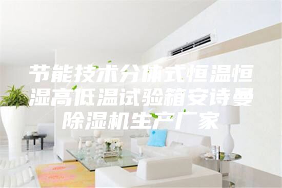 節(jié)能技術(shù)分體式恒溫恒濕高低溫試驗箱安詩曼除濕機生產(chǎn)廠家