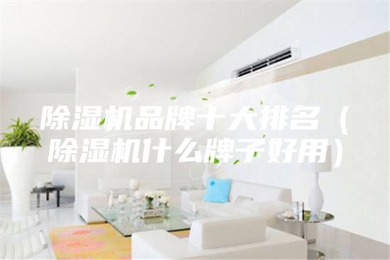 除濕機品牌十大排名(除濕機什么牌子好用)