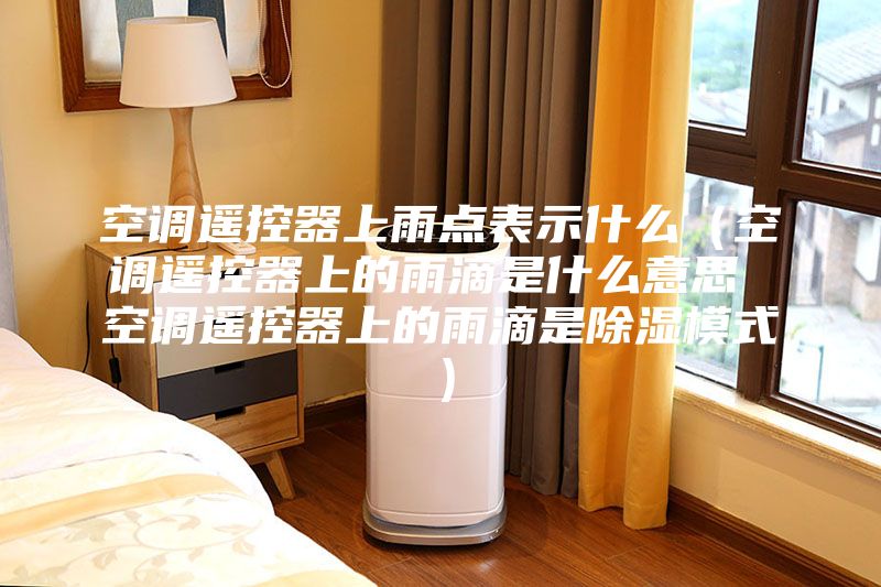 空調(diào)遙控器上雨點(diǎn)表示什么（空調(diào)遙控器上的雨滴是什么意思 空調(diào)遙控器上的雨滴是除濕模式）