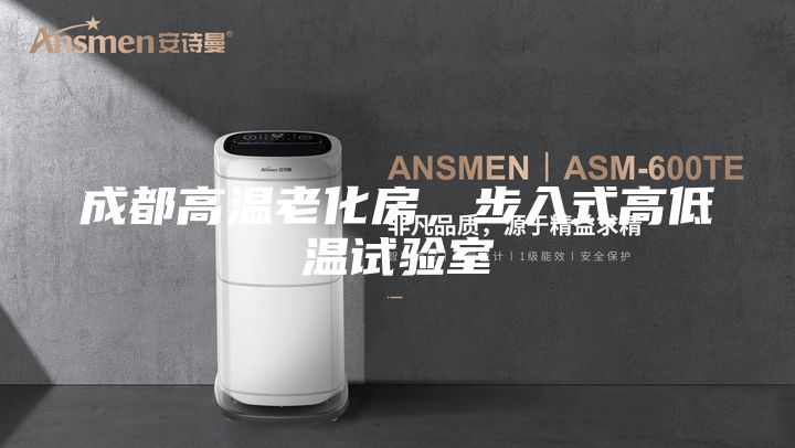 成都高溫老化房，步入式高低溫試驗室