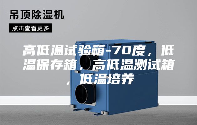 高低溫試驗箱-70度，低溫保存箱，高低溫測試箱，低溫培養(yǎng)