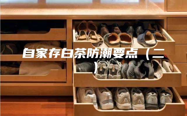 自家存白茶防潮要點(diǎn)(二)