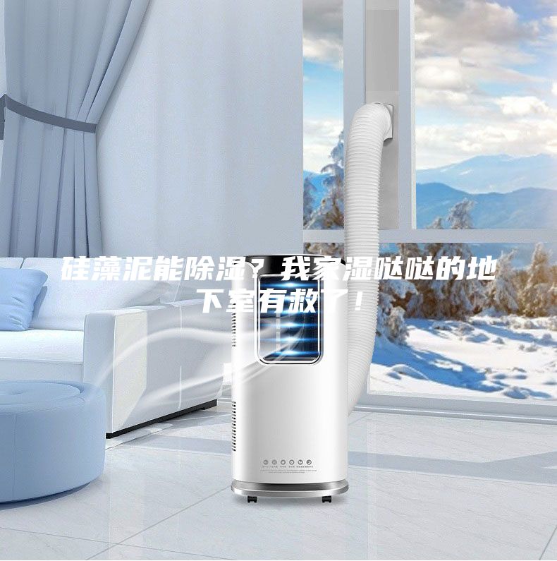 硅藻泥能除濕？我家濕噠噠的地下室有救了！
